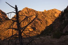 27_Big Bend National Park_07